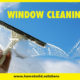 Window Cleaning